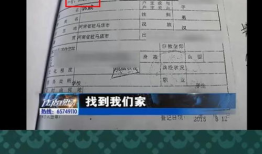 许妈直播91年户口,揭秘直播行业的崛起与变迁”